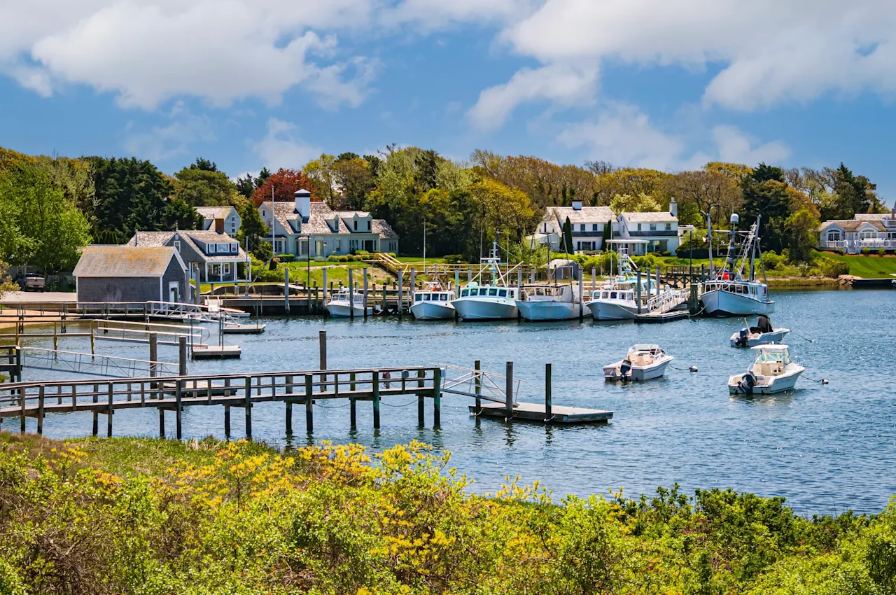 Cape Cod